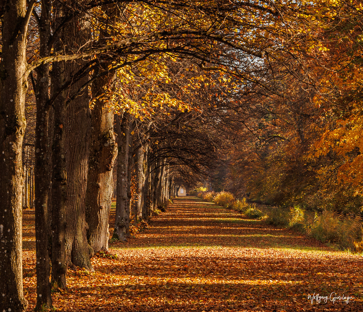 Schlosspark Oberschleissheim