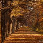 Schlosspark Oberschleissheim