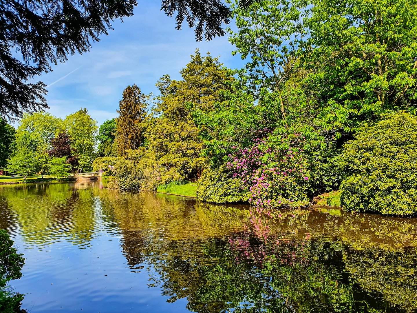 Schlosspark Oldenburg