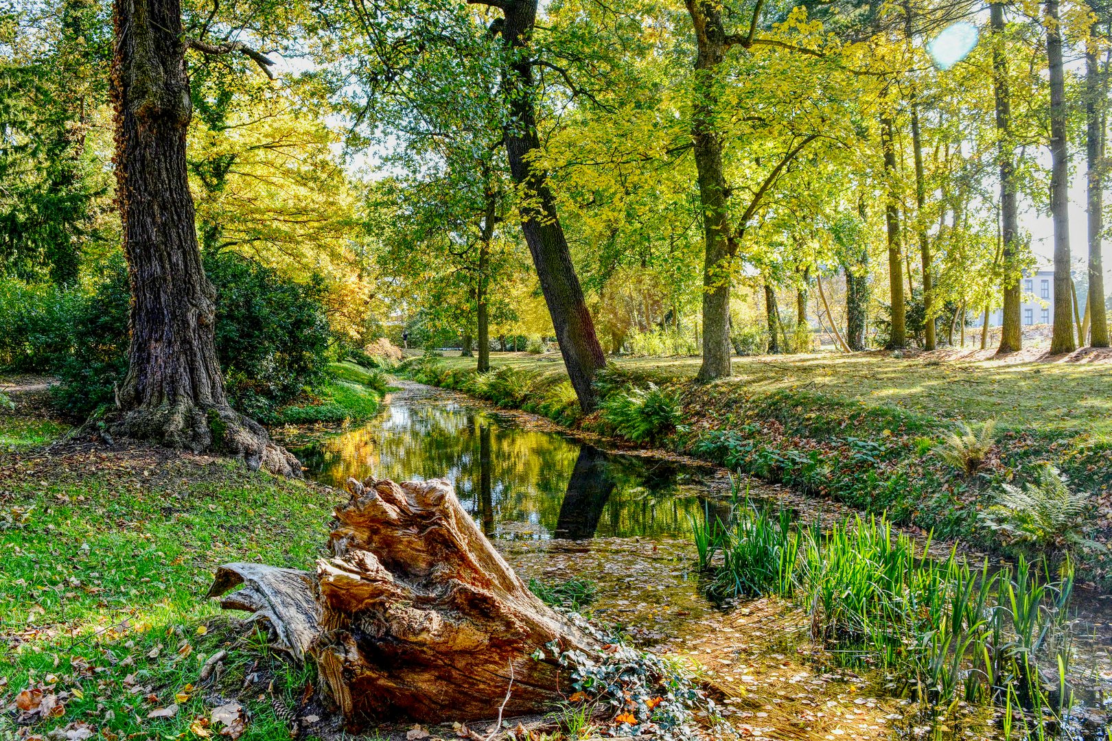 Schloßpark Oranienbaum