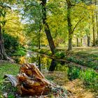 Schloßpark Oranienbaum