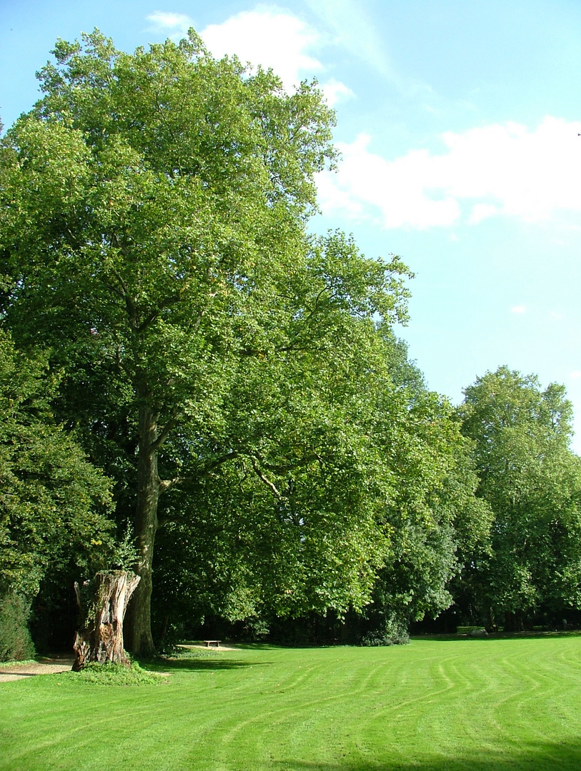 Schlosspark Paffendorf