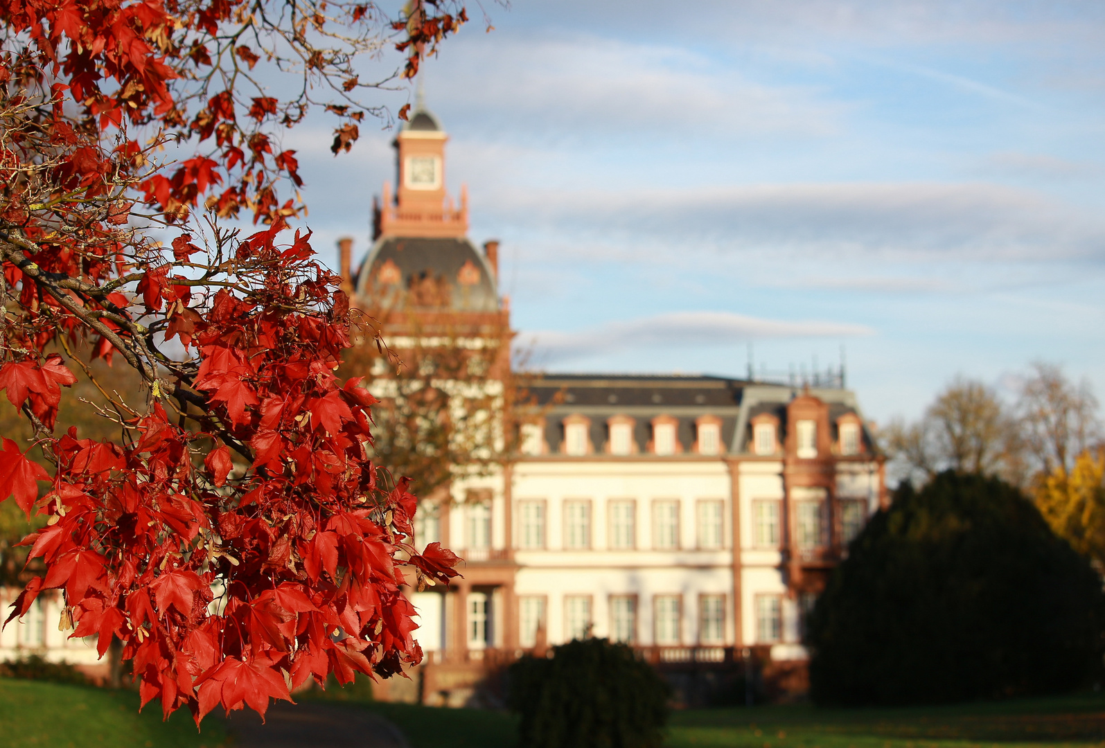 Schlosspark Philippsruhe im Herbst 