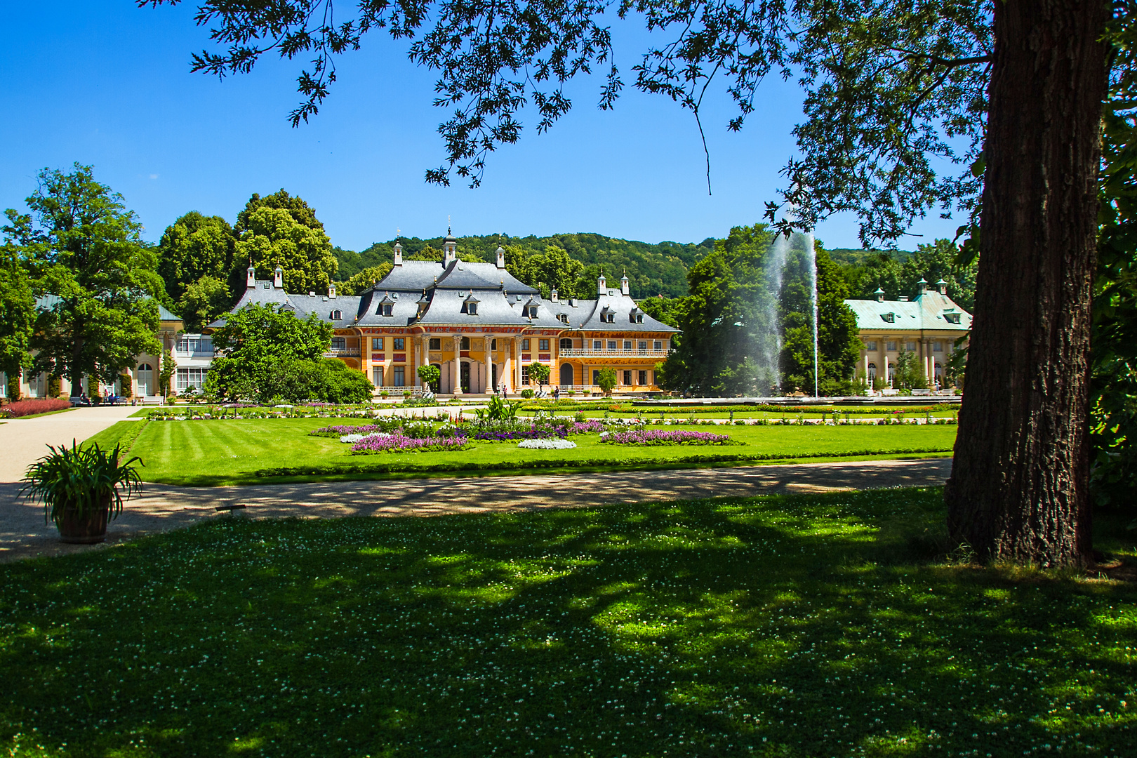 Schlosspark Pillnitz