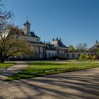 Schlosspark Pillnitz