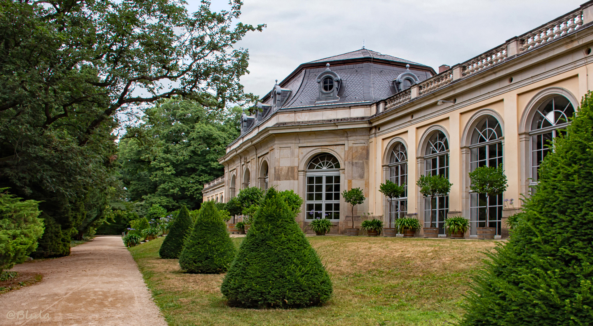 Schloßpark Pillnitz, Orangerie