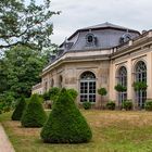 Schloßpark Pillnitz, Orangerie