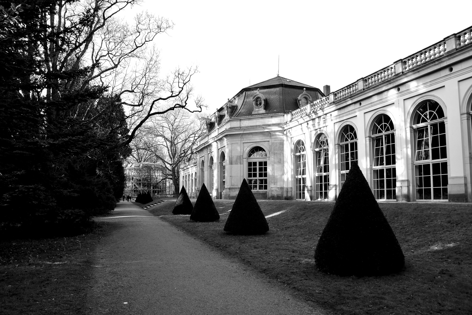 Schlosspark Pillnitz s/w