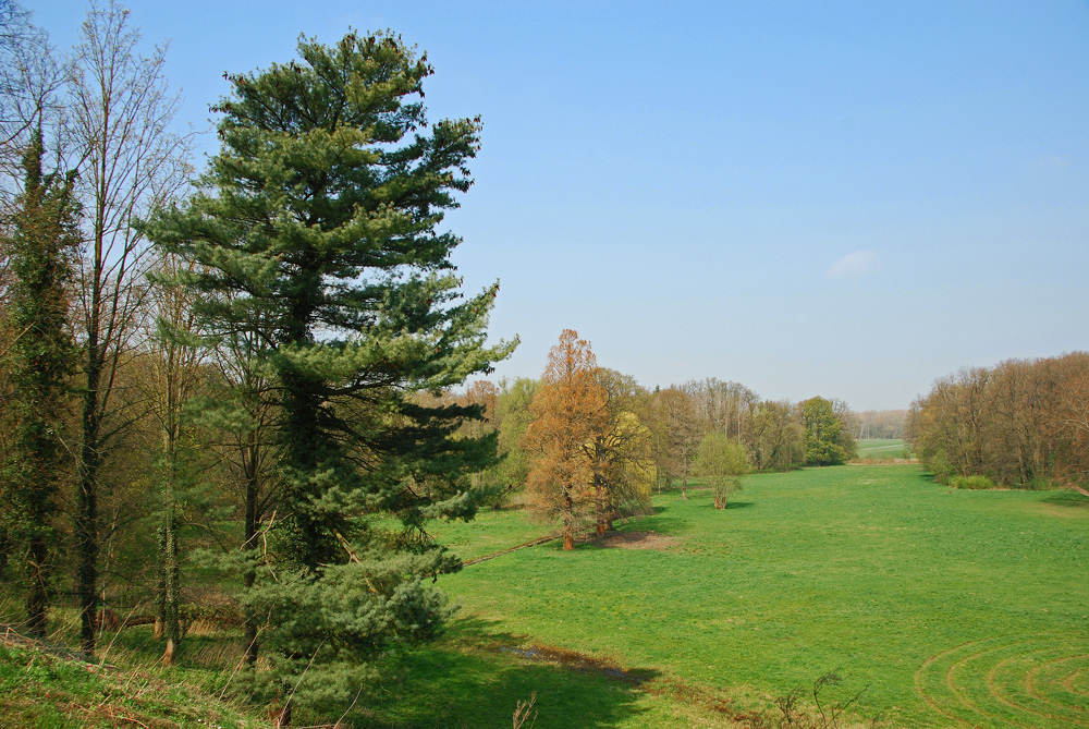 Schloßpark Püchau