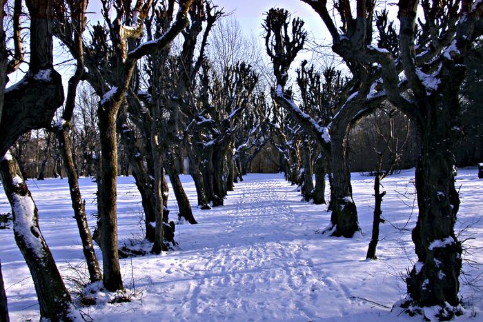 Schlosspark Reichersberg