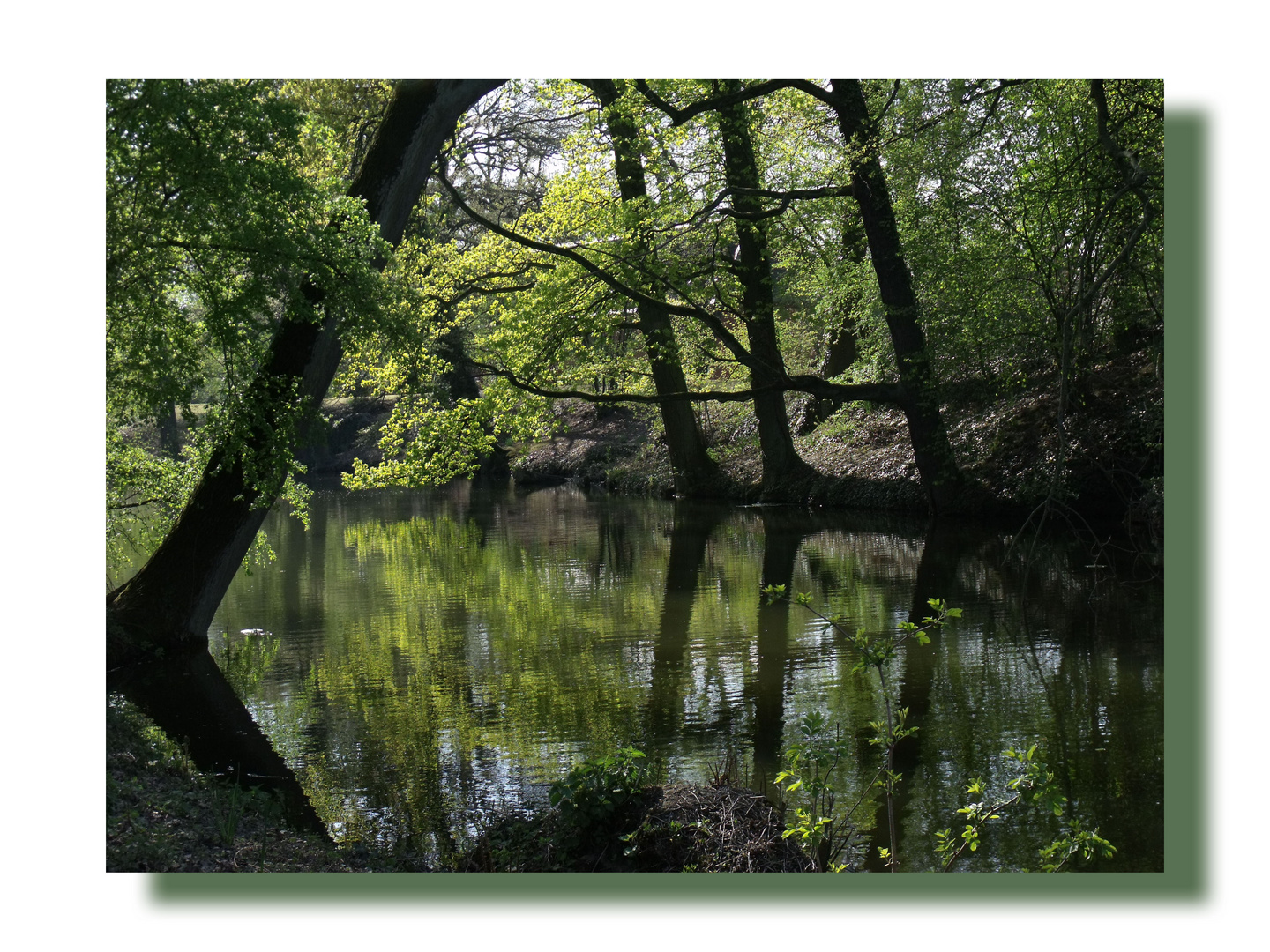 Schlosspark Rheydt