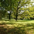 Schlosspark Sanssouci ....