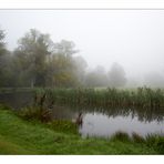 Schlosspark Sanssouci I