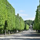 Schlosspark Schloss Schönbrunn