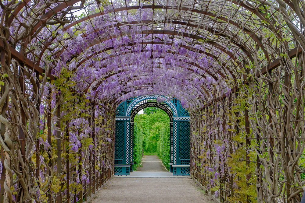 Schloßpark Schönbrunn