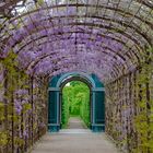 Schloßpark Schönbrunn