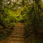 Schlosspark Schoenbrunn