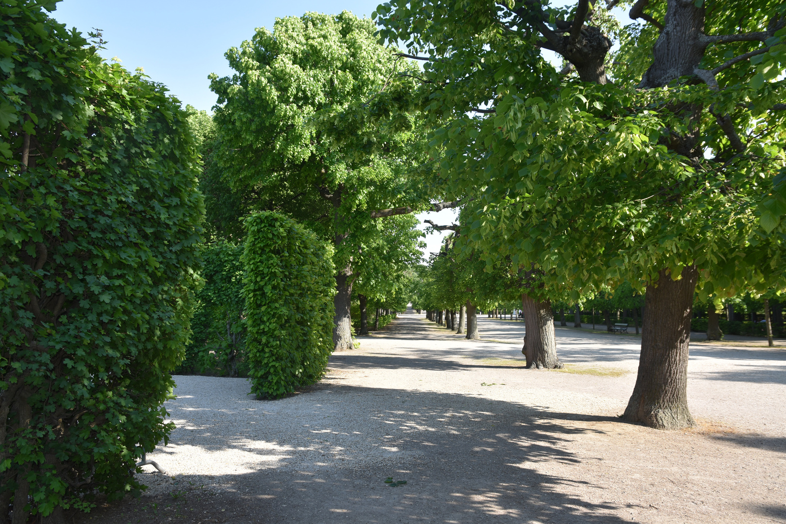 Schlosspark Schönbrunn