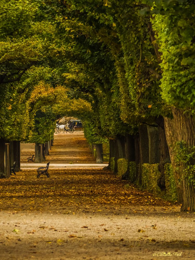 Schlosspark Schoenbrunn