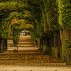 Schlosspark Schoenbrunn