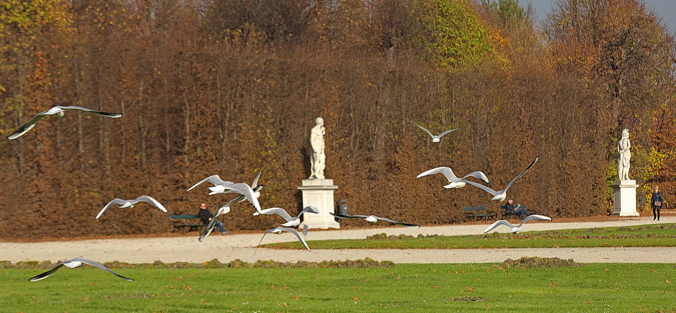 Schlosspark Schönbrunn (6)