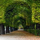 Schlosspark Schönbrunn