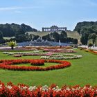 Schloßpark Schönbrunn mit Gloriette