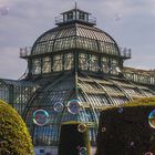 Schlosspark Schönbrunn - Palmenhaus