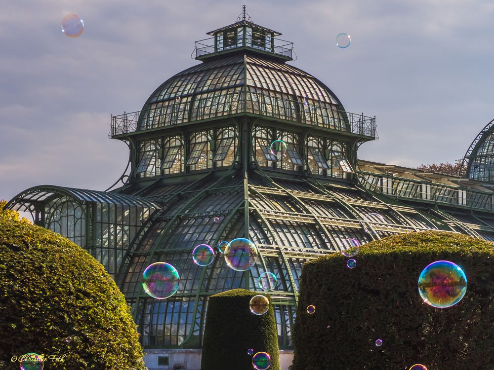 Schlosspark Schönbrunn - Palmenhaus