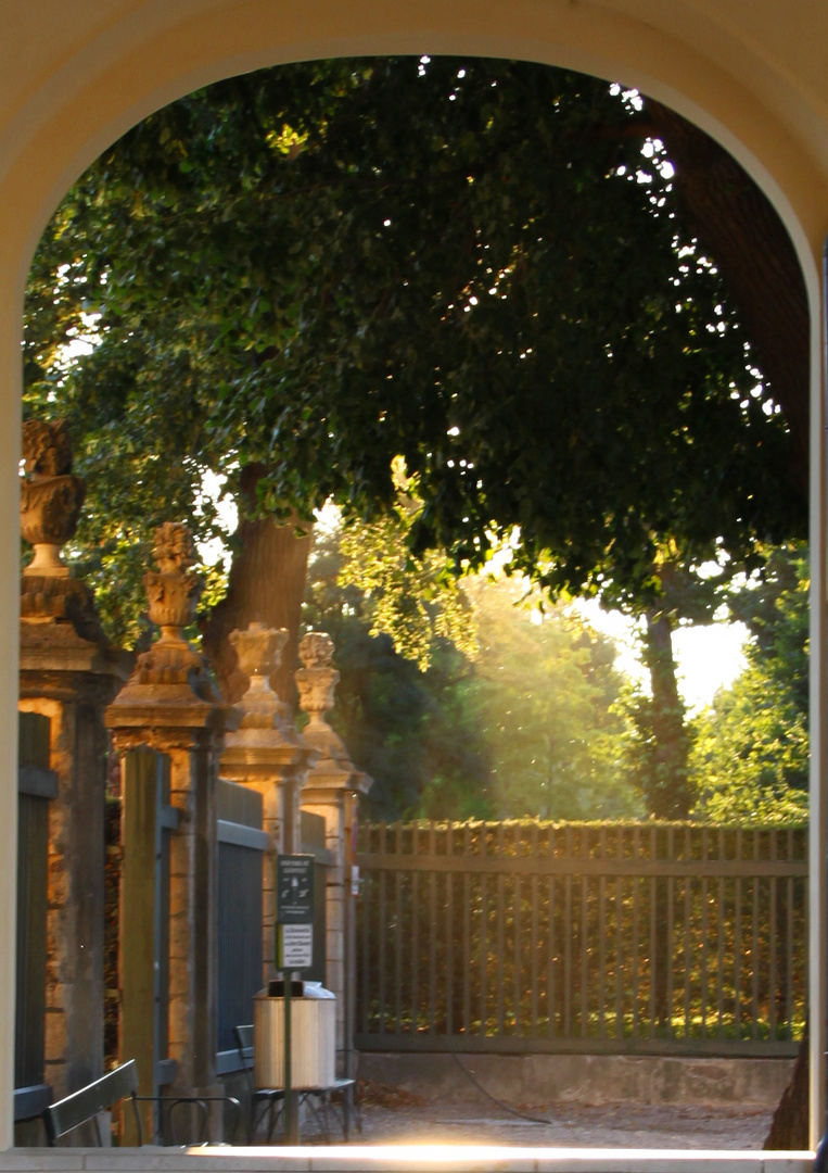 Schlosspark Schönbrunn Wien