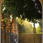 Schlosspark Schönbrunn Wien