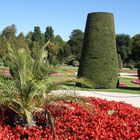 Schlosspark Schönbrunn Wien (4)