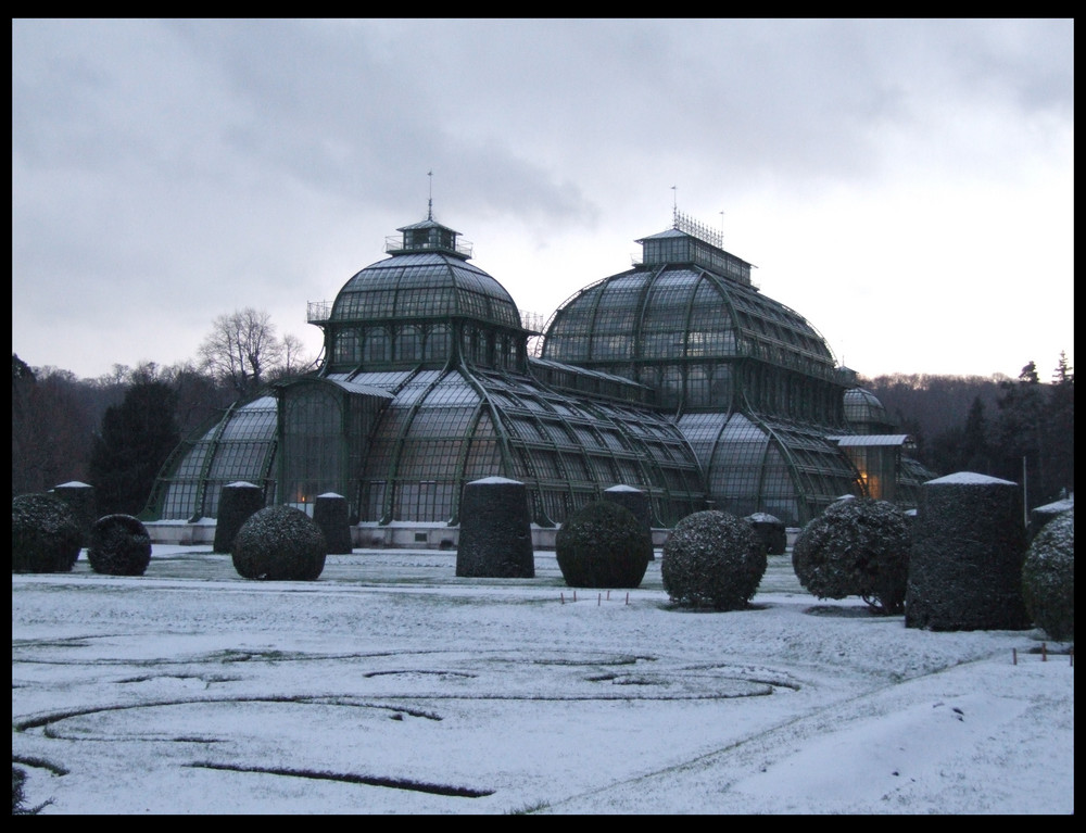 Schlosspark Schönbrunn........Palmenhaus