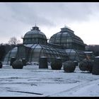 Schlosspark Schönbrunn........Palmenhaus