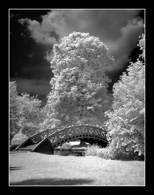 Schlosspark Schwetzingen 2