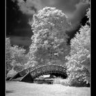 Schlosspark Schwetzingen 2