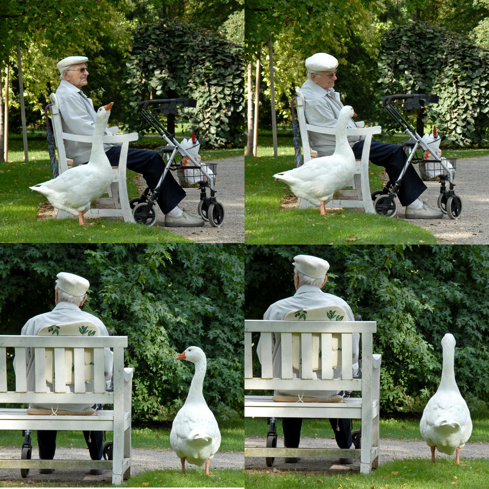 Schlosspark Schwetzingen 4