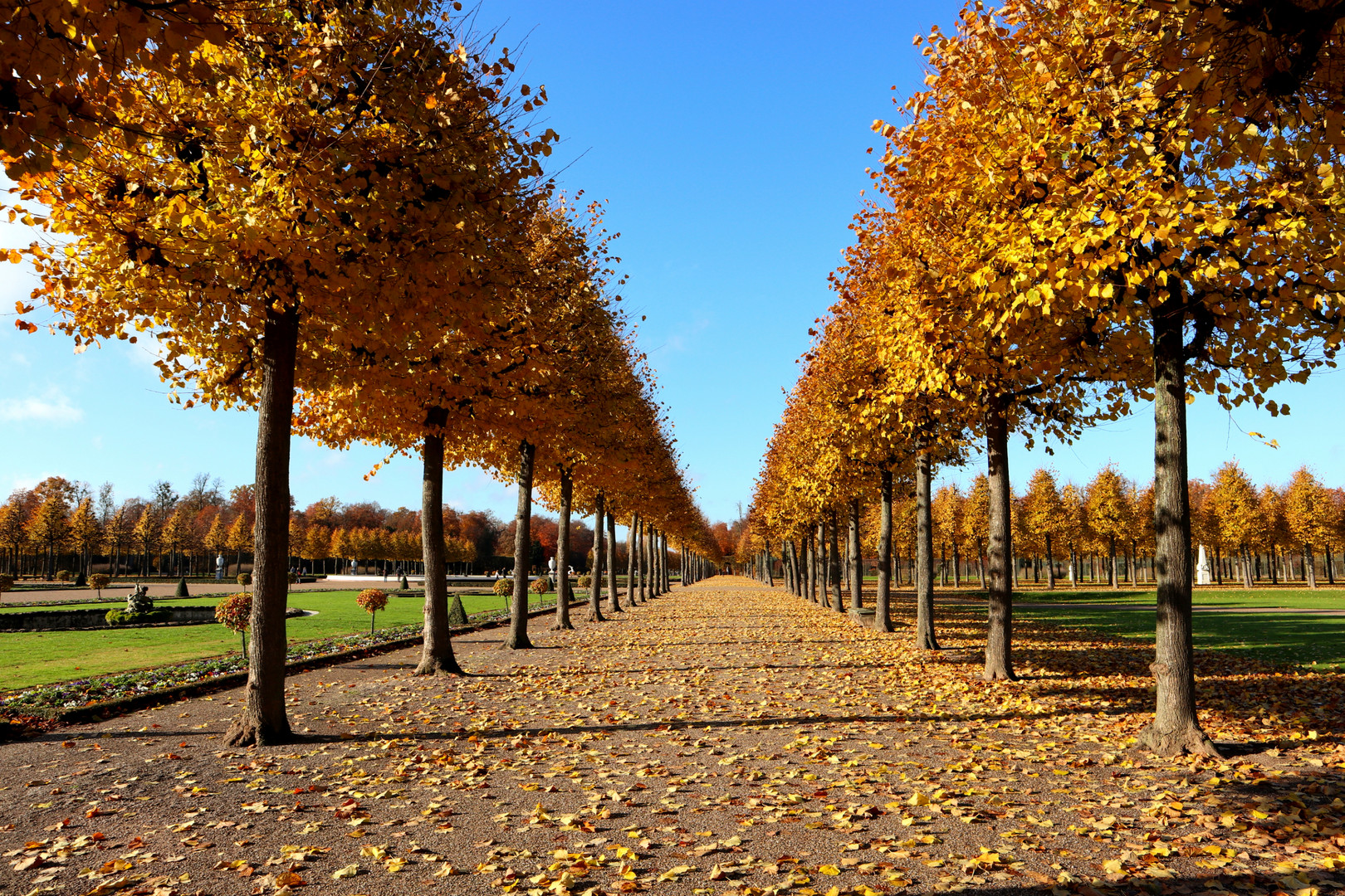 Schlosspark Schwetzingen