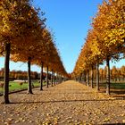 Schlosspark Schwetzingen