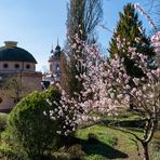 Schlosspark Schwetzingen