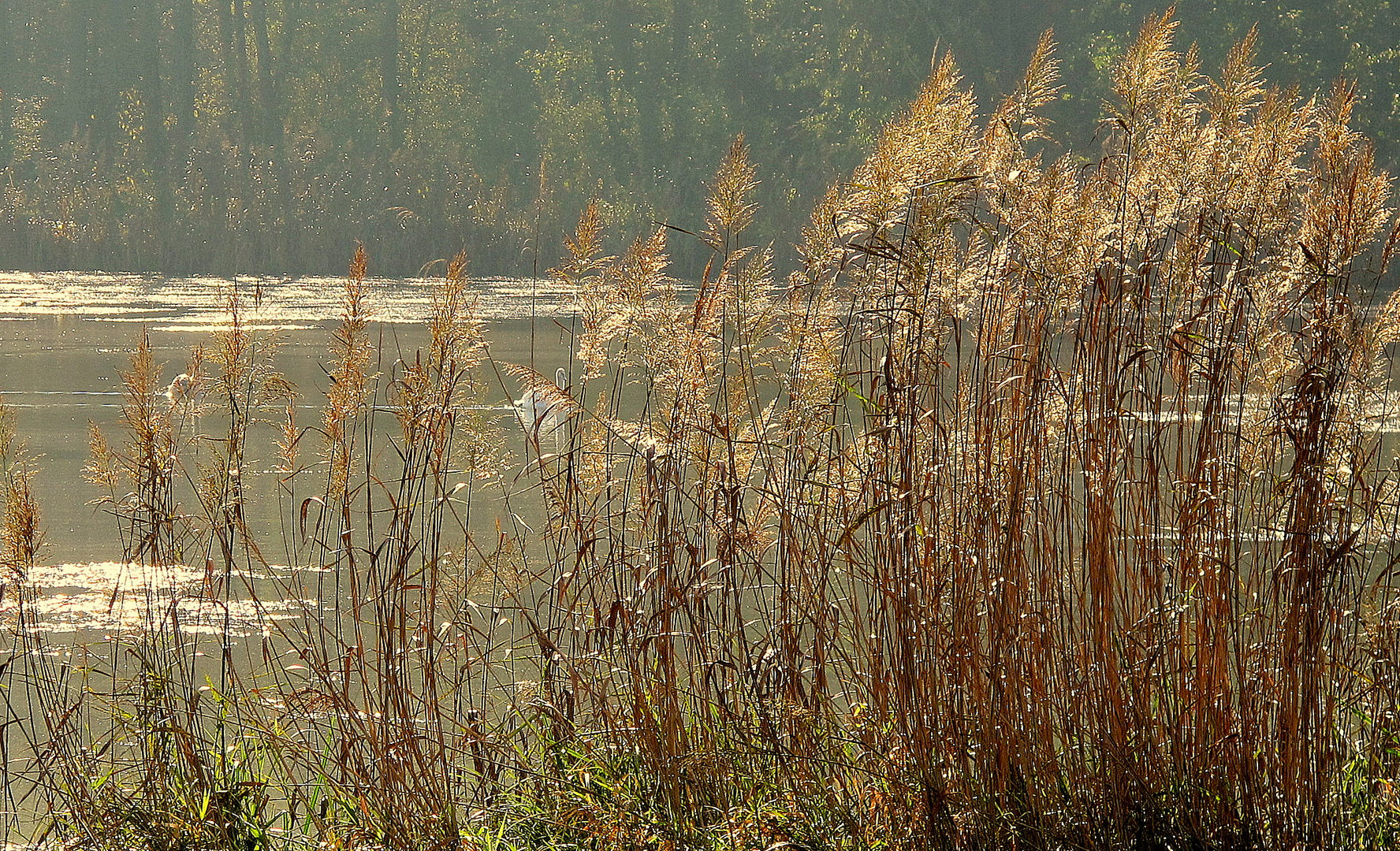 Schlosspark Seehof