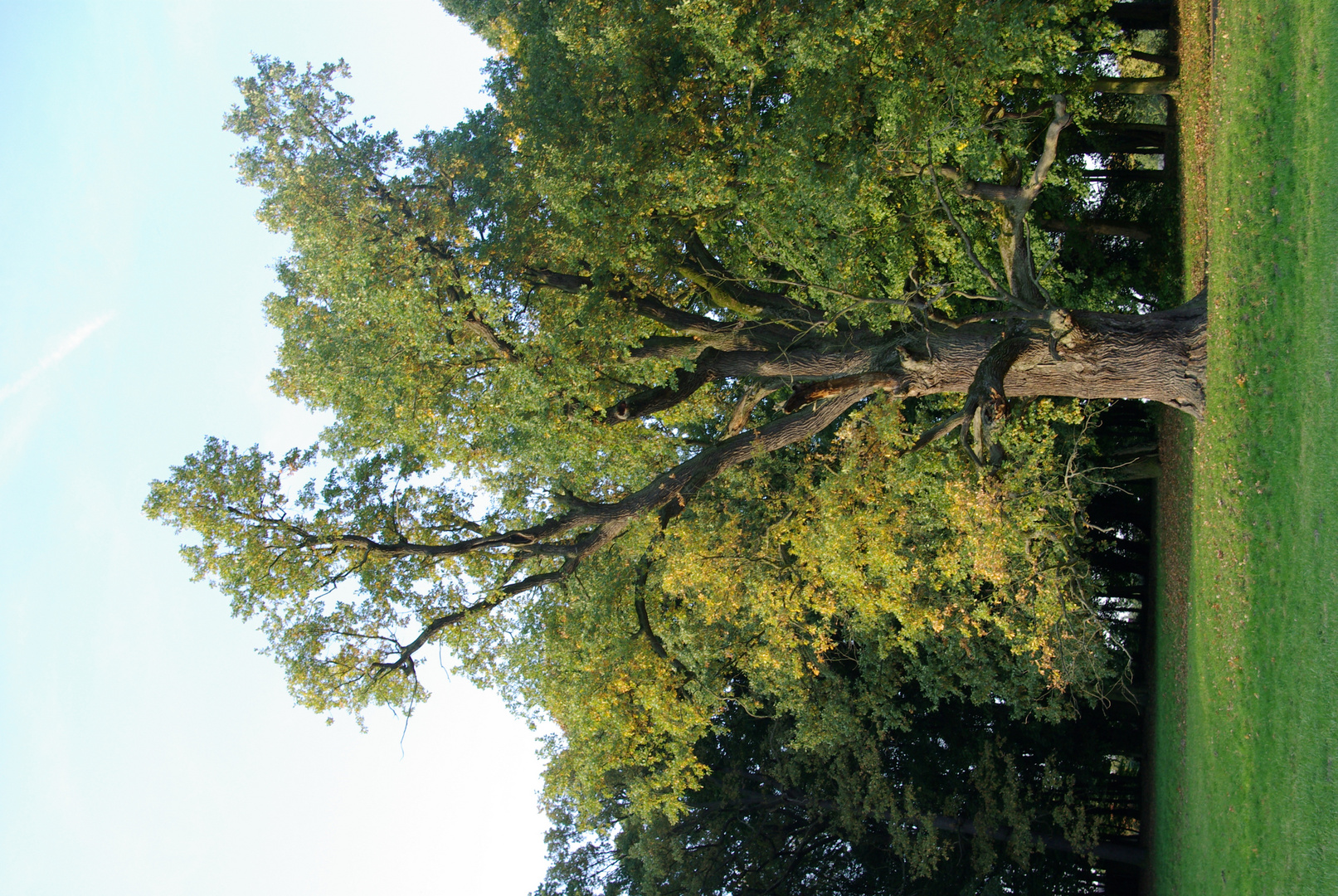 Schloßpark Steinhöfel bei Fürstenwalde