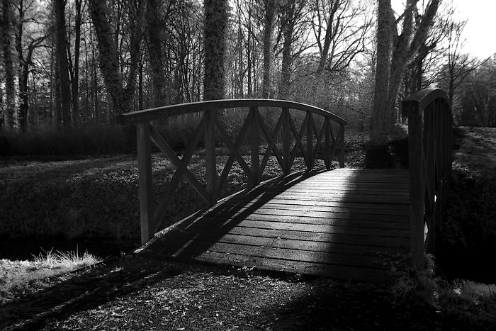 Schlosspark Steinhöfel im Winter 2012 (als S/W-Infrarot)