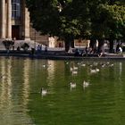 ..Schlosspark  Stuttgart