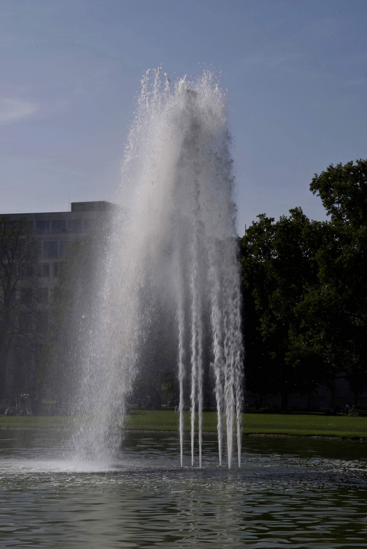 ...Schlosspark Stuttgart