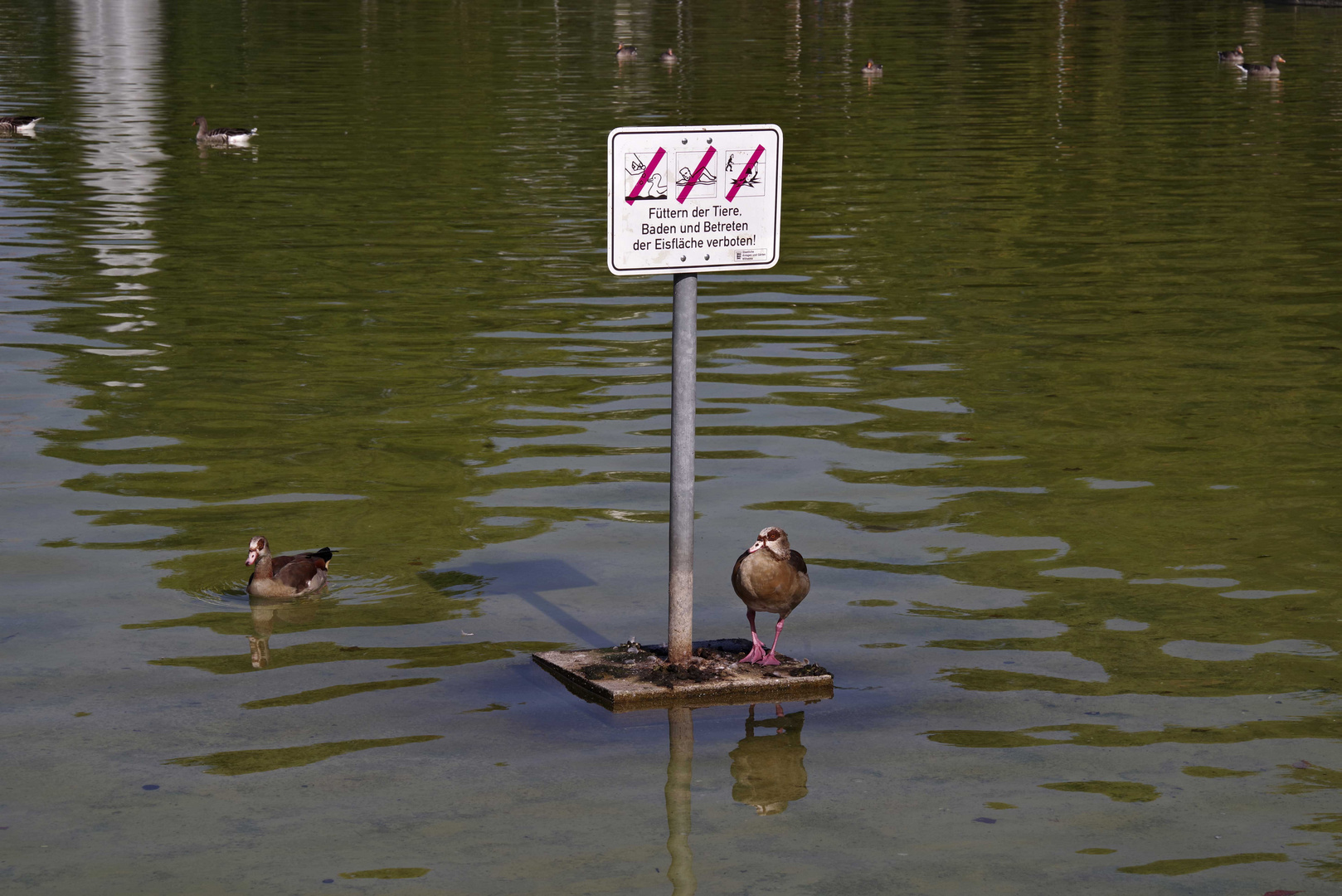 ...Schlosspark Stuttgart