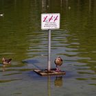 ...Schlosspark Stuttgart