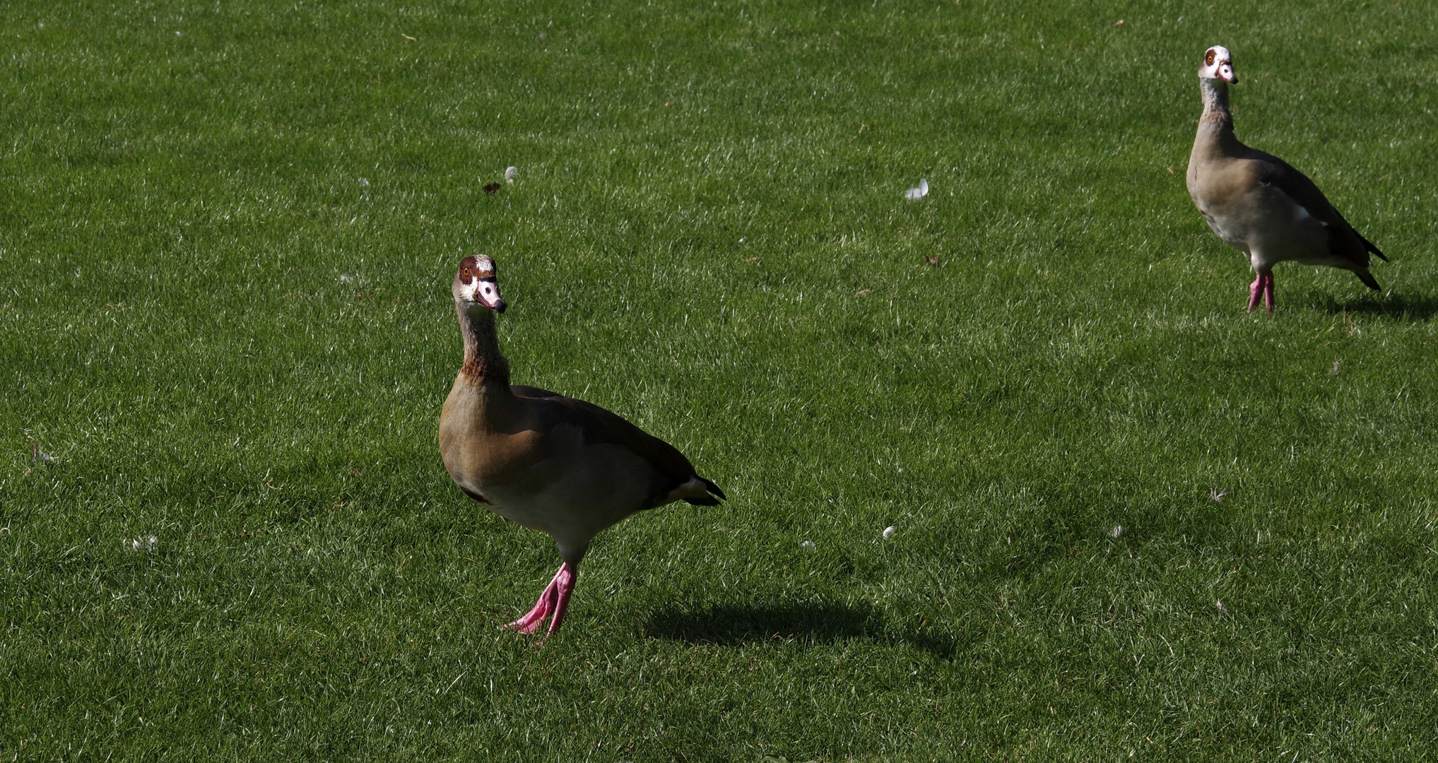 ...Schlosspark Stuttgart