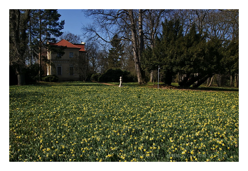 Schlosspark Tannenfeld