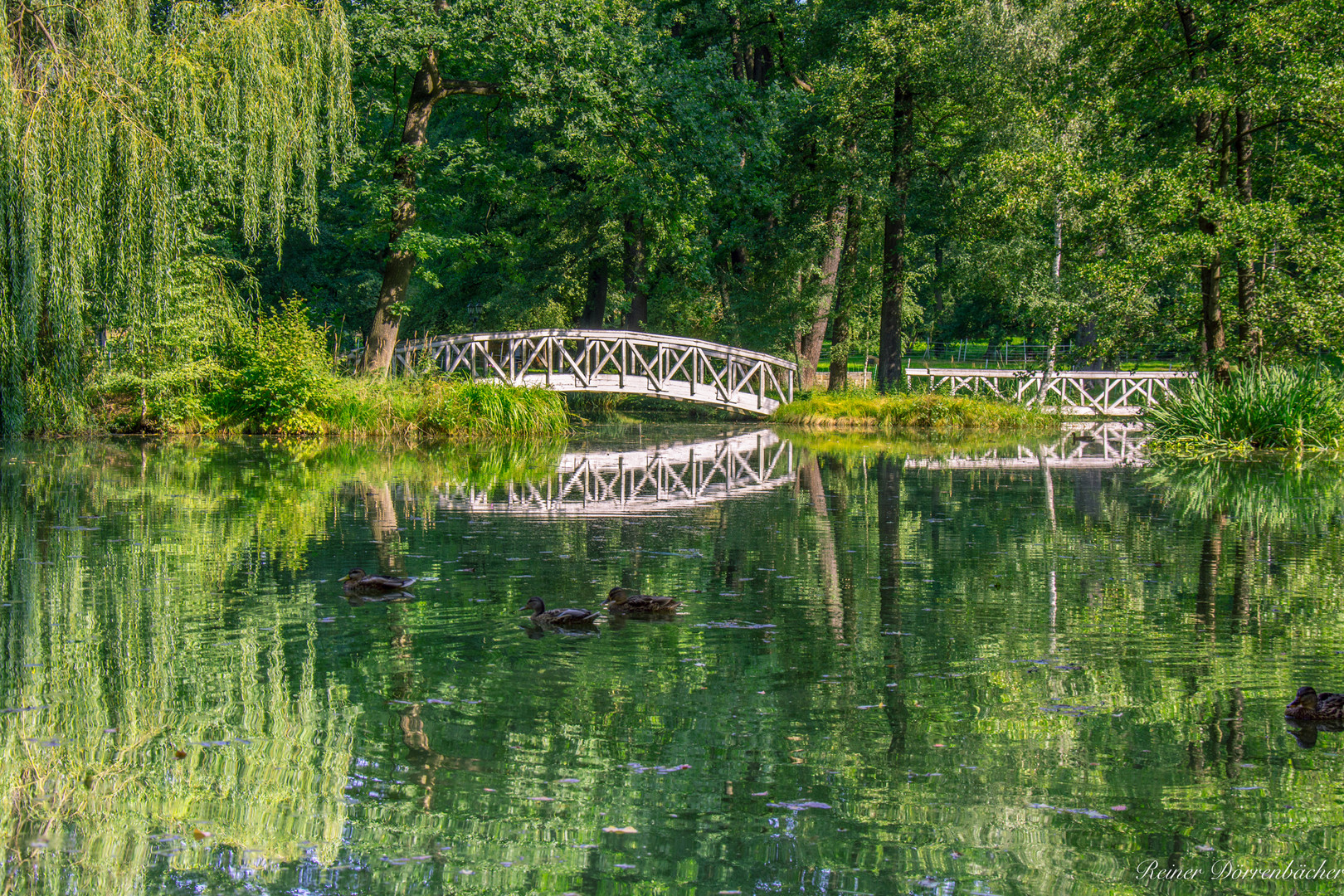 Schlosspark Taubenheim